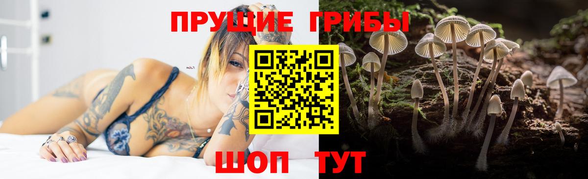 Галлюциногенные грибы MAGIC MUSHROOMS Ростов-на-Дону