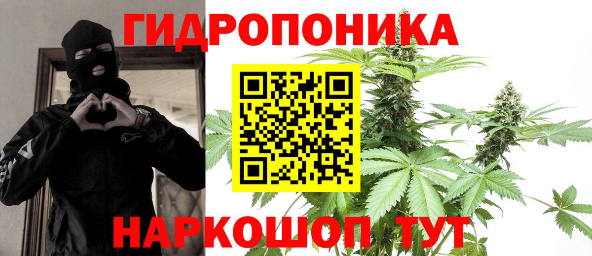 Каннабис сатива  Вход с VPN  Каннабис планчик  Ростов-на-Дону 